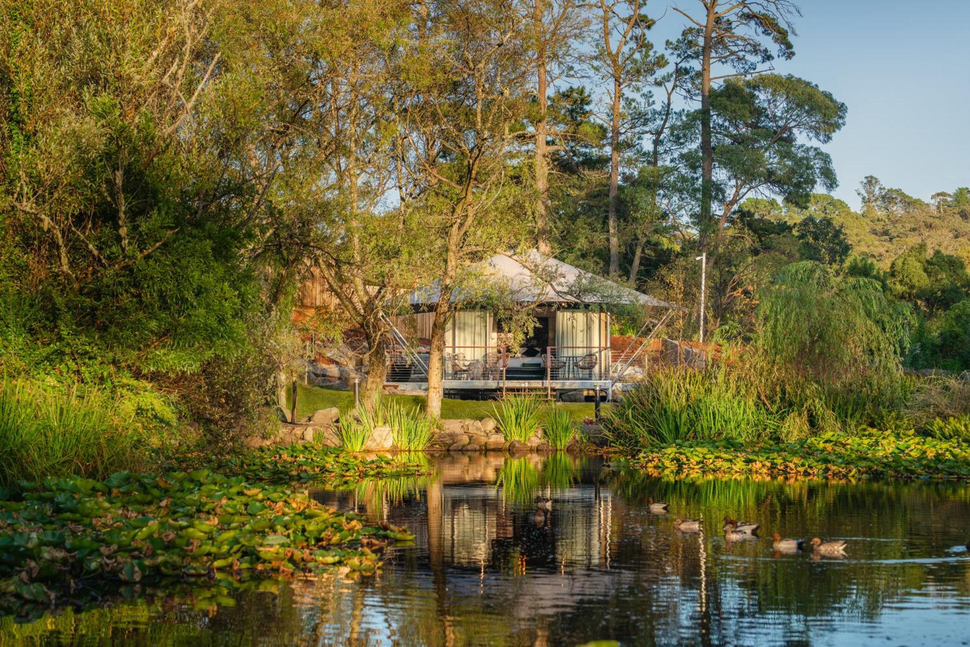 Parklands Country Gardens & Lodges Blue Mountains Blackheath Exterior photo
